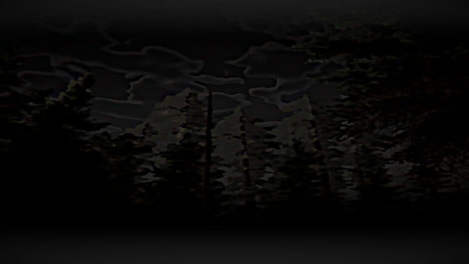 Nobody Sleeps Tonight banner