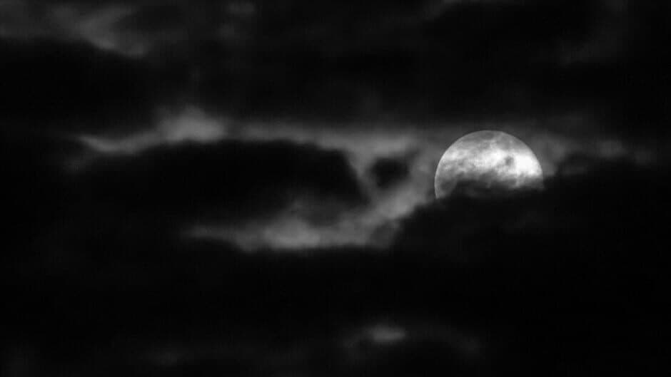 School Curse3 banner