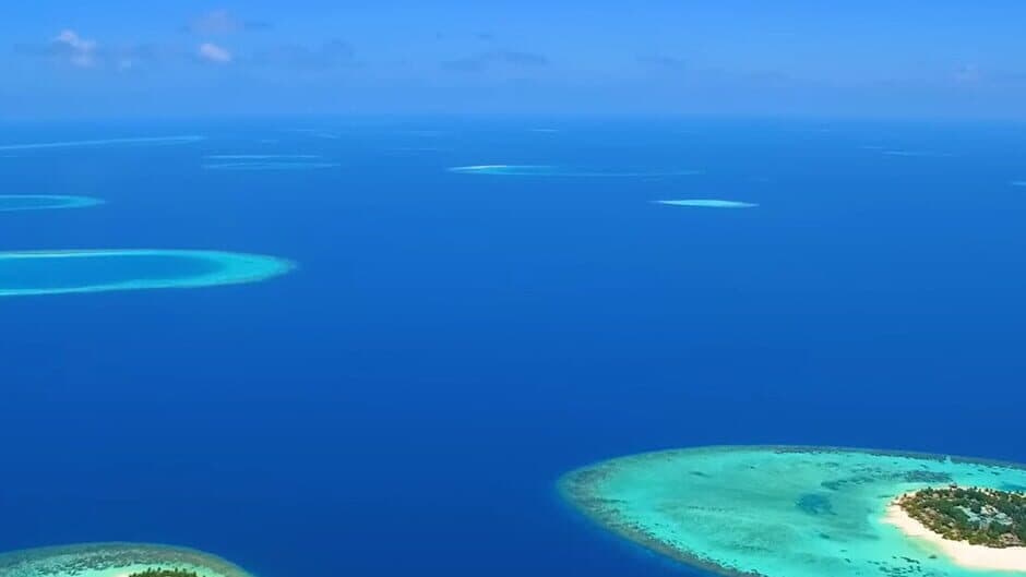 Ace Pilot Pacific banner