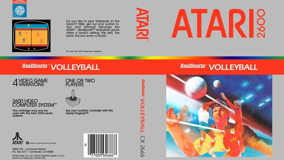 RealSports Volleyball banner