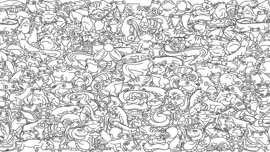 Search All: Flies banner