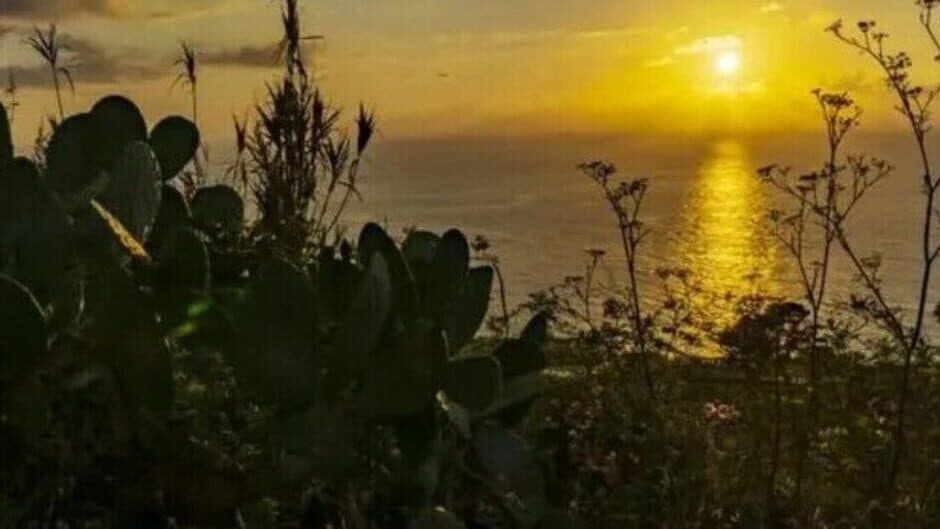 Teacher of prophecy banner