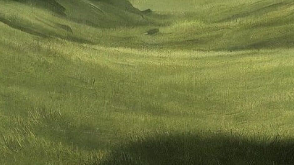 Real Traveler banner