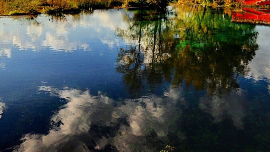 Forest legend banner