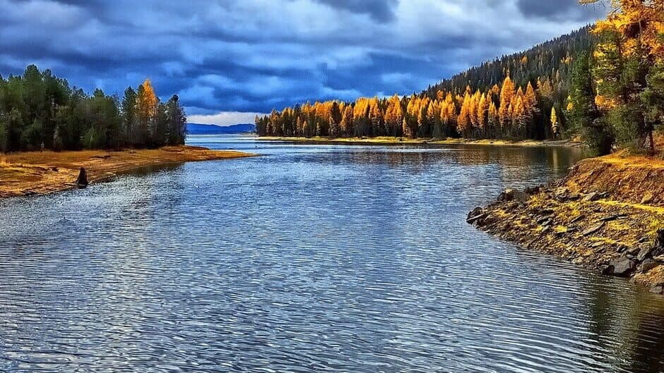 Tale of the Seas banner