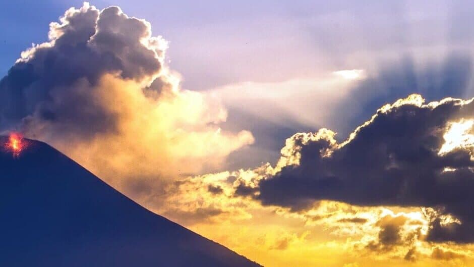 Dinos vs. Robots banner