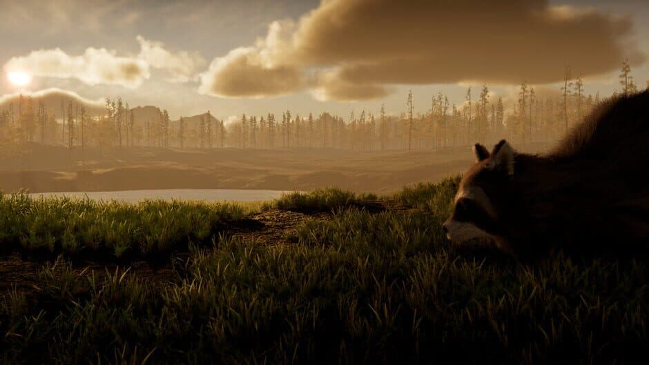 Twilight Tails banner