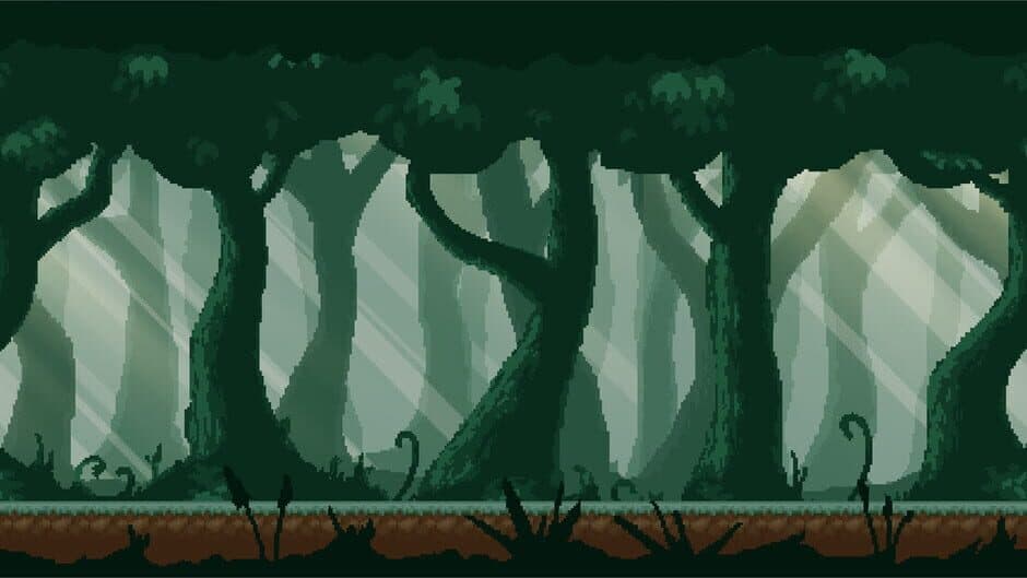 Turtle Riders banner