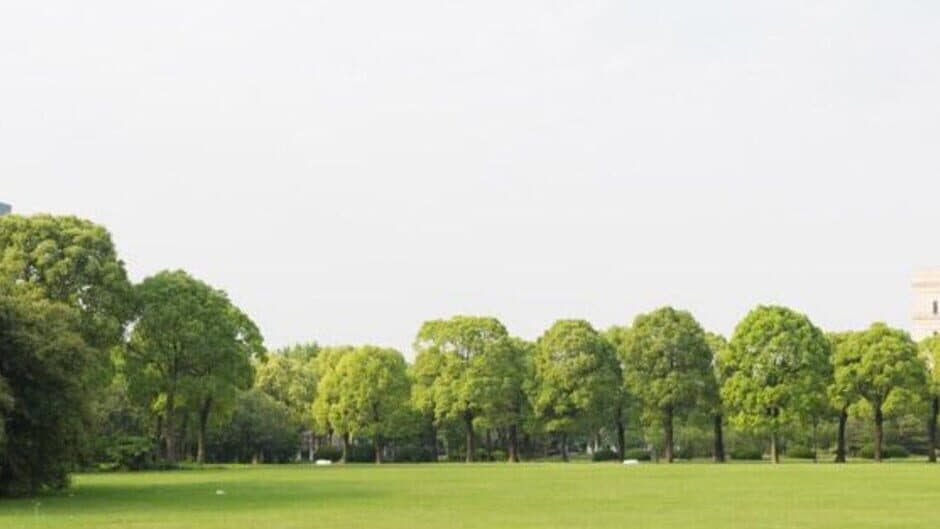 Greyish White banner