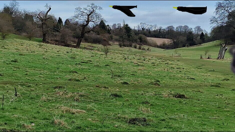 Jumping Steve banner