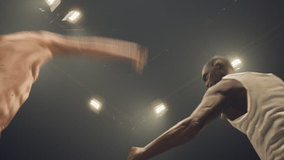 The Belligerence banner