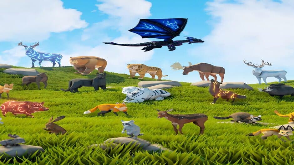 Dragons and Nature banner