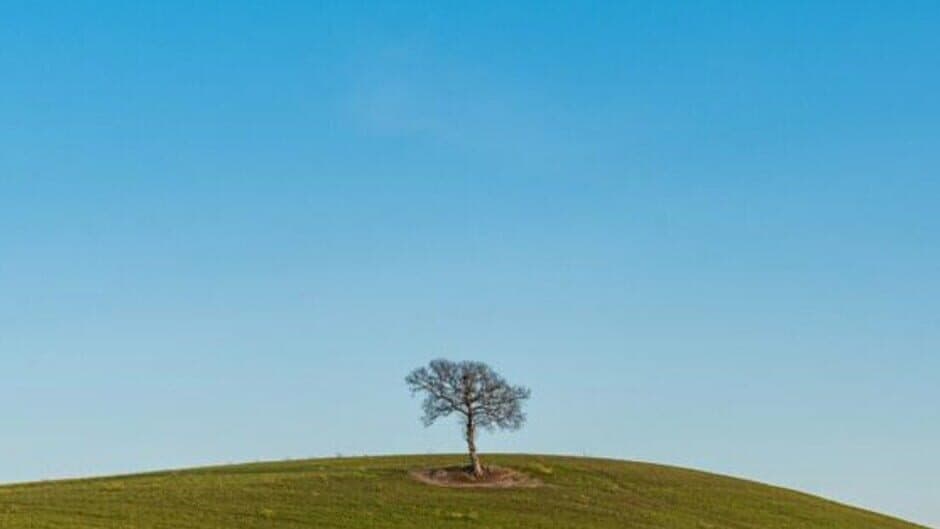 Solitary Mark banner