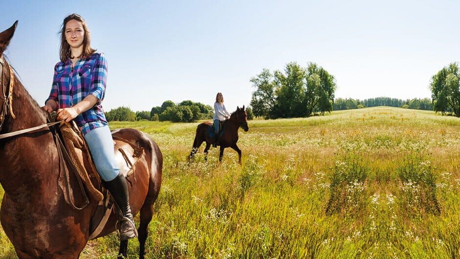 Die drei Freunde von der Reitschule banner