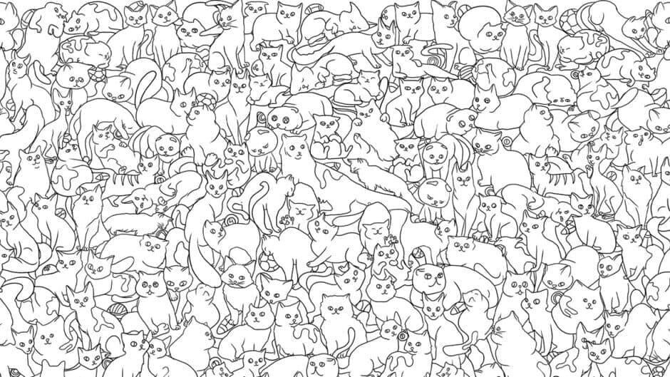 Search All: Balls banner