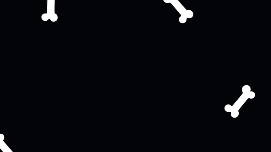 Paws in the Maze banner