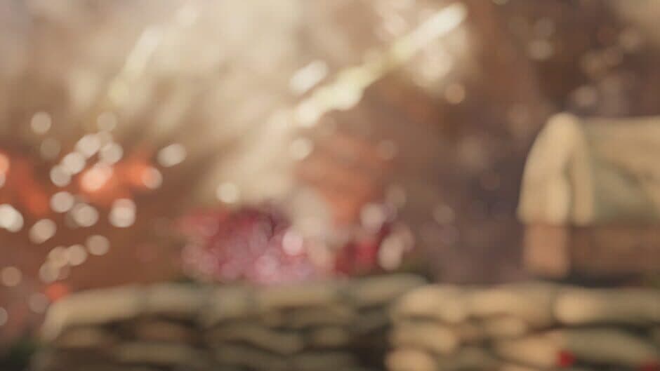 Over The Top: WWI banner