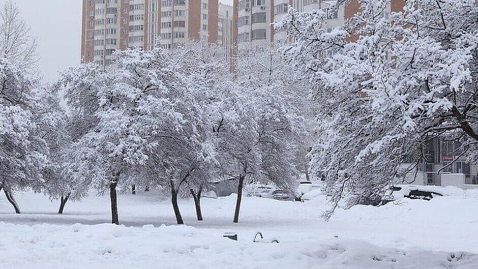 G.O.P.O.T.A 2 banner