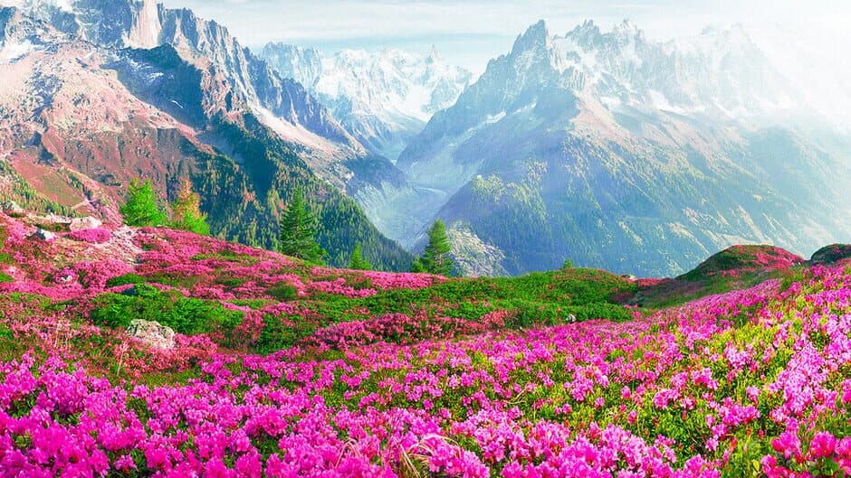 Nature Escapes 5 banner