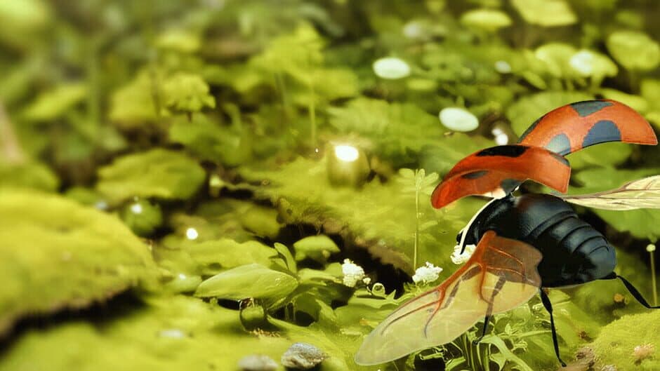 Insect Flight Simulator VR banner