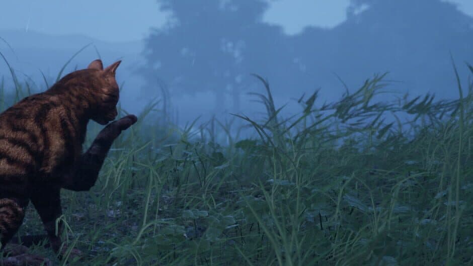 CozyCat Simulator banner