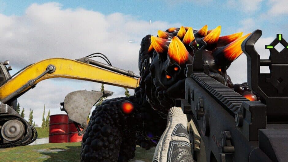 Texas Border Guard banner