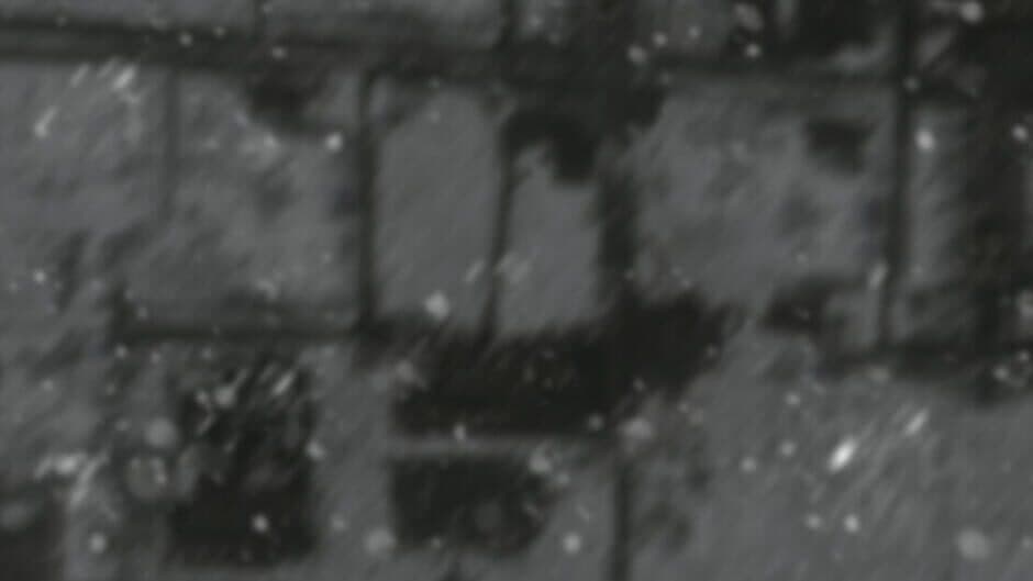 Project of Cooling the Earth banner