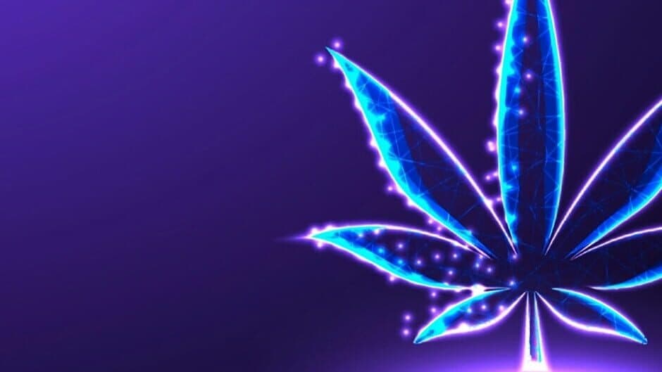 Diary of a Stoner banner