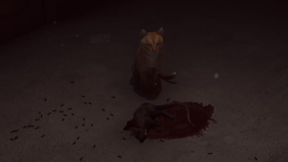 The Stairway 7 banner