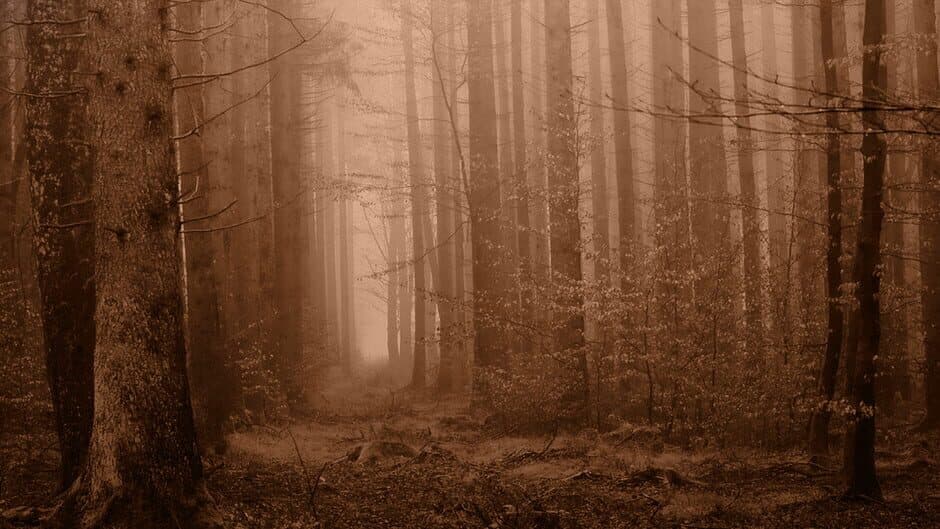 Blind Quest: The Ivy Queen banner