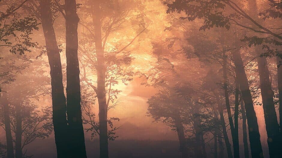 Aurora Hills: Chapter 1 banner