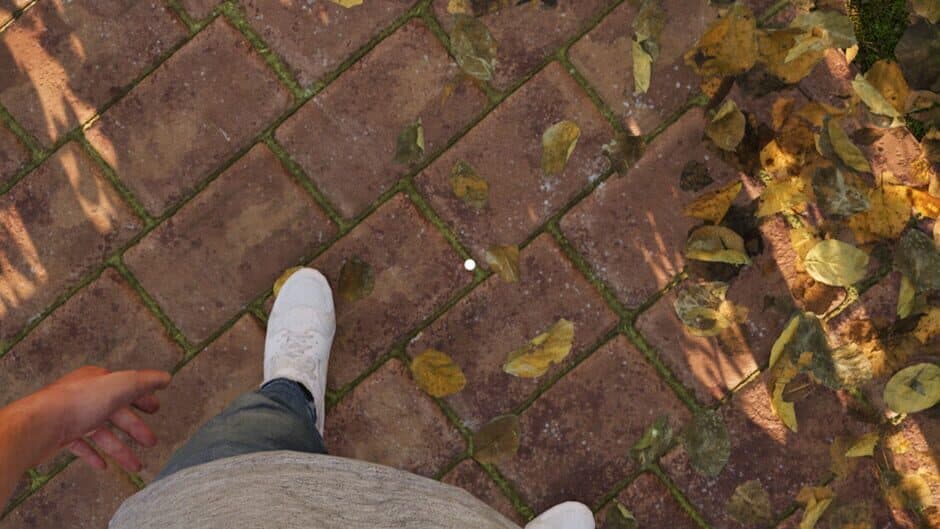 Whispers of Silence banner