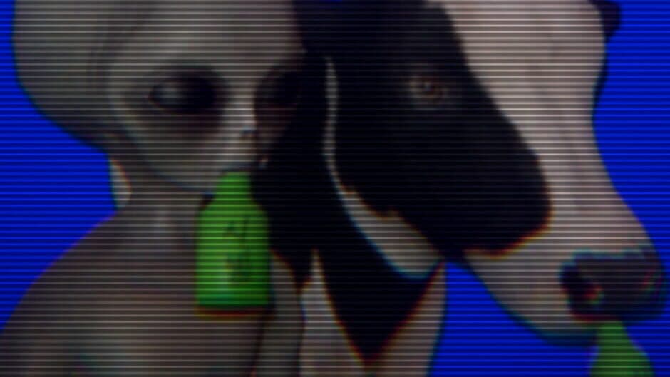 Homing Instinct banner