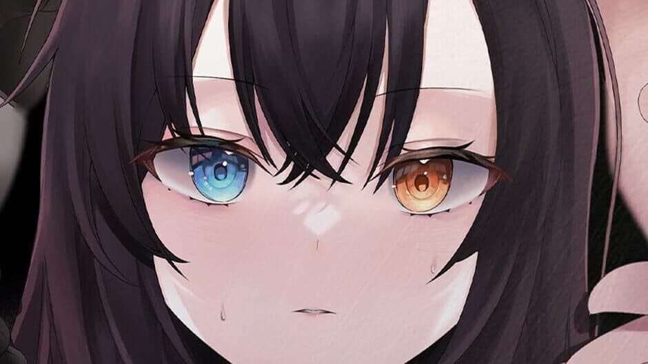 Memorial Circuit banner