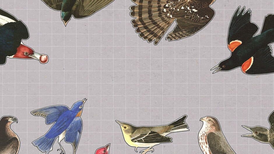 Brids Huddled Together banner