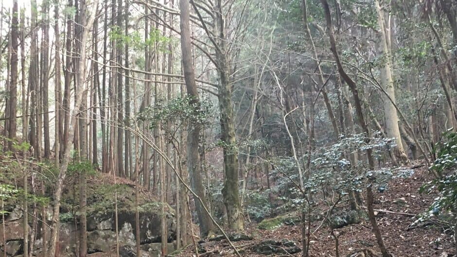 Terunyan to Amanoiwato banner