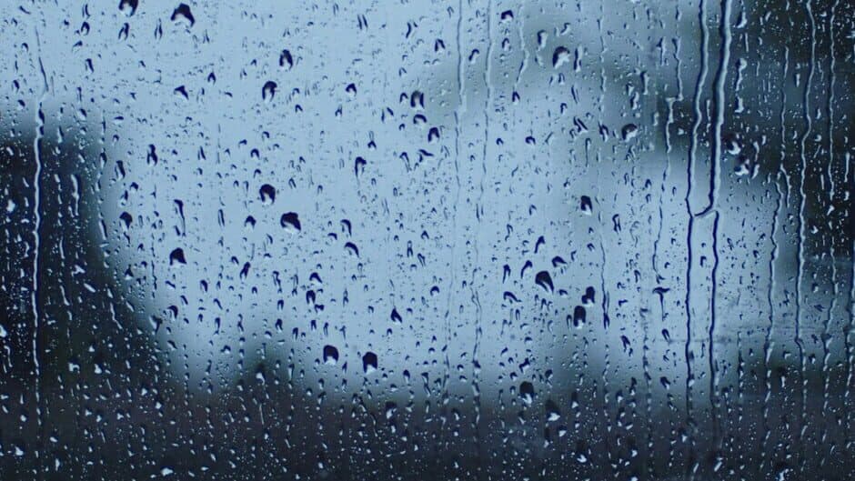 What Happened to Kate banner