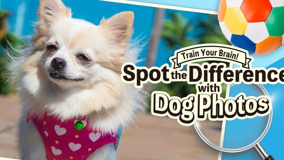 Train Your Brain! Spot the Difference with Dog Photos banner