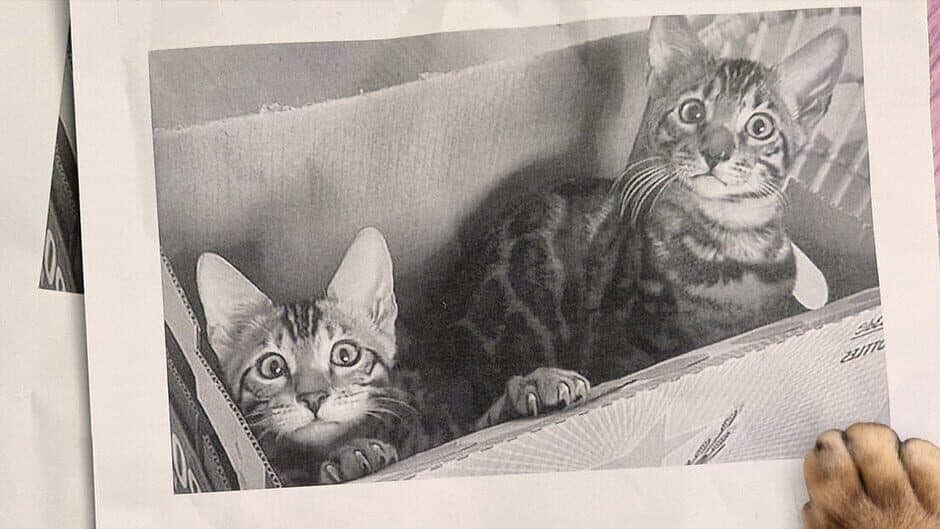 Purry & Panther: Lost in Helsinki banner