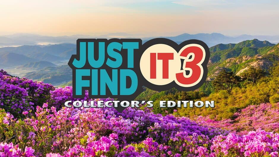 Just Find It 3: Collector's Edition banner