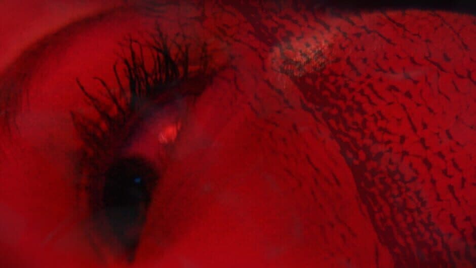 Precognition banner