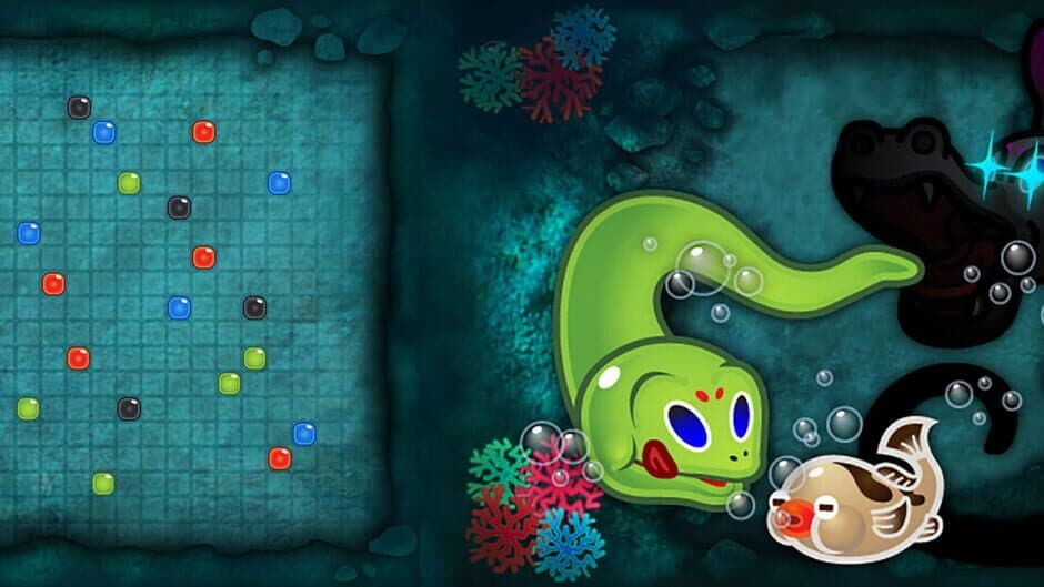 Snake Crossing banner