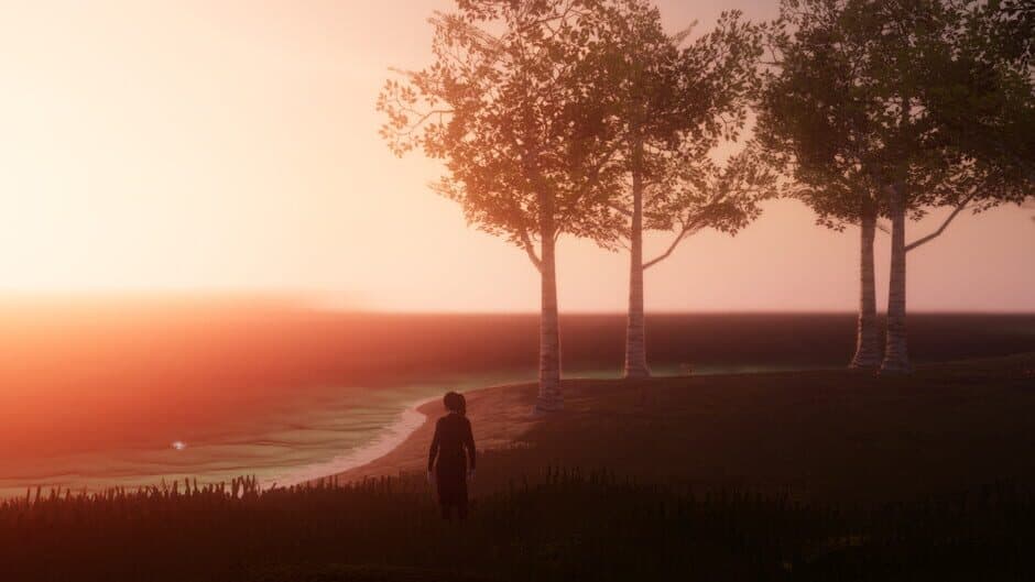 Whisper of the Swallows banner