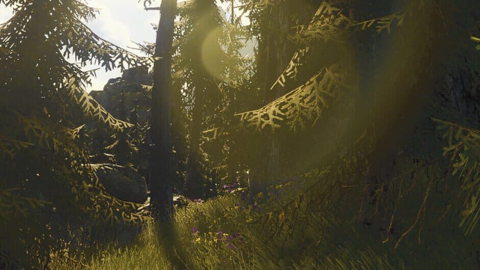 Heart of Altai banner