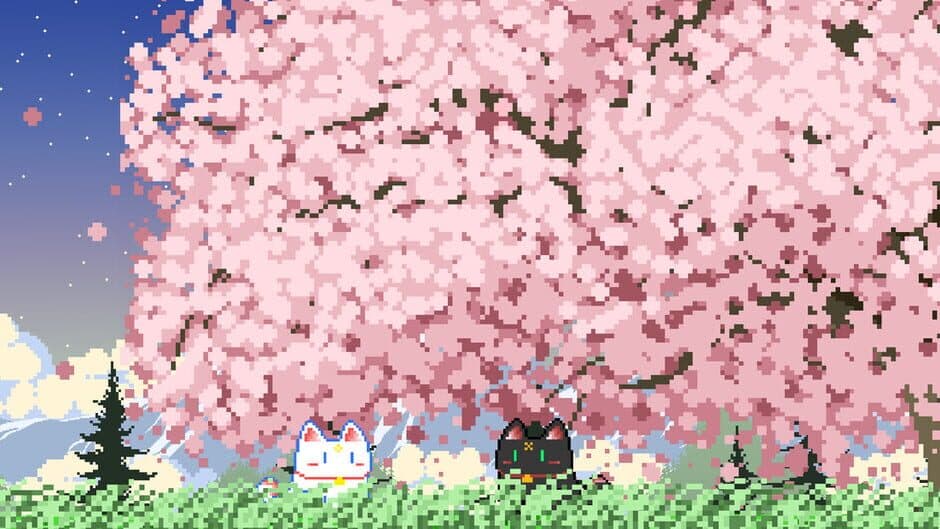 Adventure Paws banner