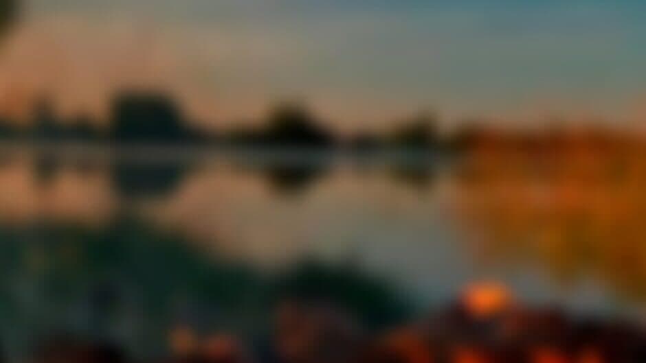 Barbecue With Friends banner