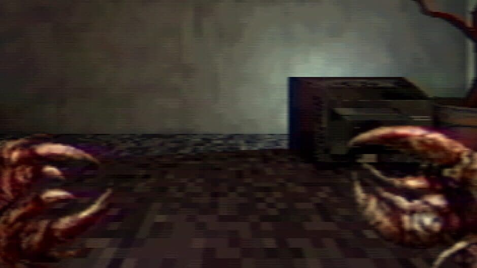 Navicula Meatus banner