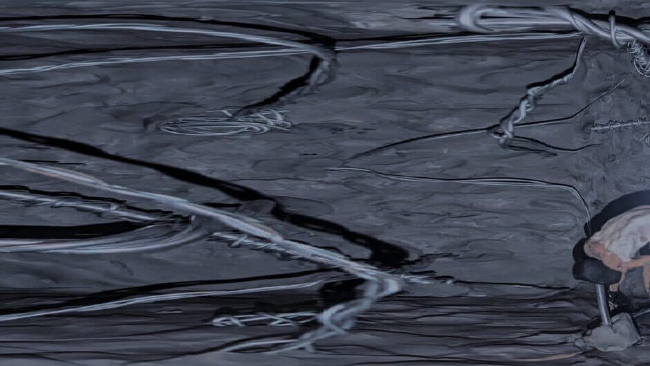 Elation for the Wonder Box 6000 banner