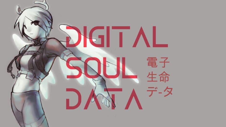 Digital Soul Data banner