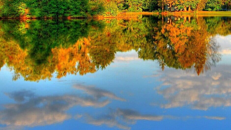 Ring of The Devil banner